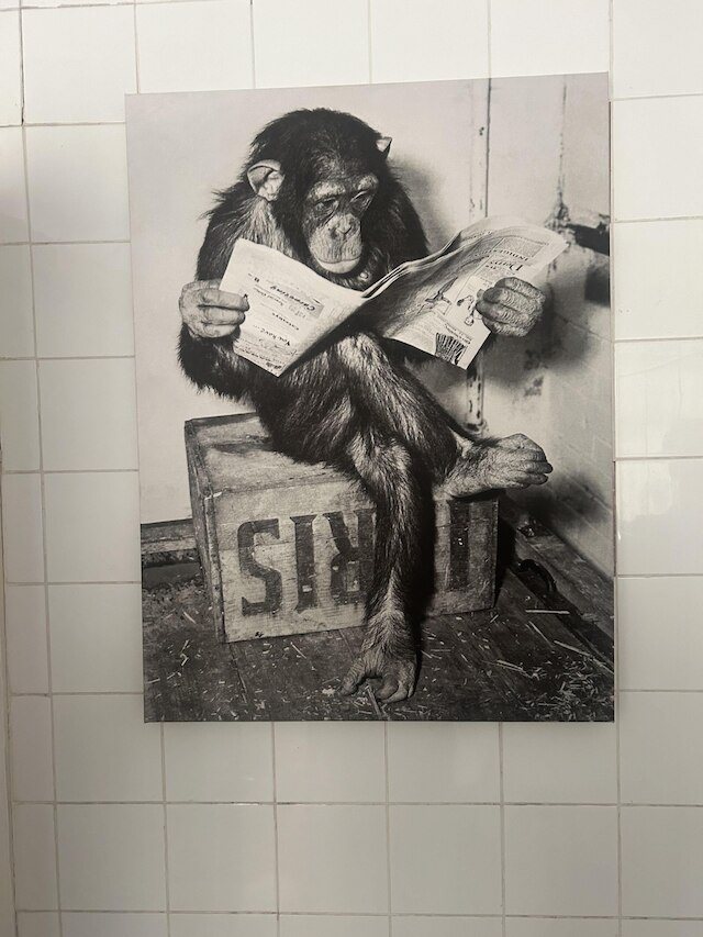 マンチェスター、レヴェンシュルム、エンタイア ハウス、スリープス 7マックス