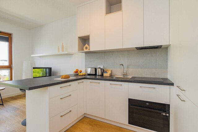 ショートステイポーランド ズディエホフスキー B151