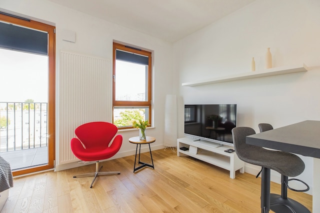 ショートステイポーランド ズディエホフスキー B151