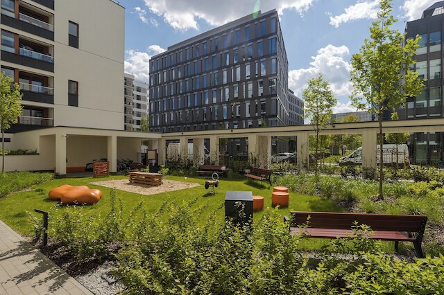 ショートステイポーランド ズディエホフスキー B152