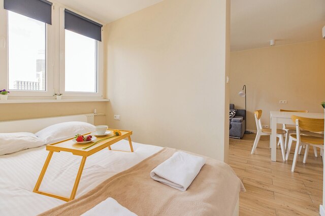 ショートステイポーランド ジェラズナ B162