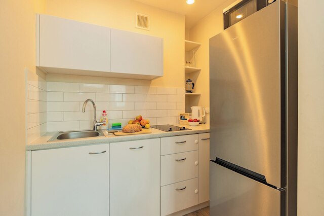 ショートステイポーランド ジェラズナ B162