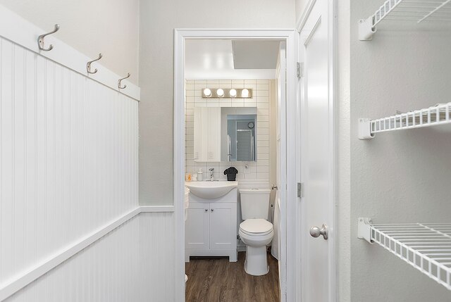 エレクトラ ミューズ スタジオ