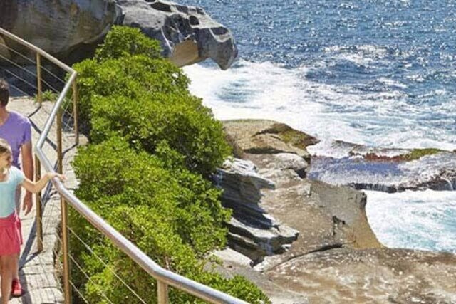 アブソリュート シーフロント ブロンテ