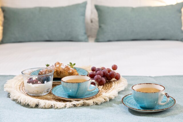 ヘスティア - アスクリピオウ 9