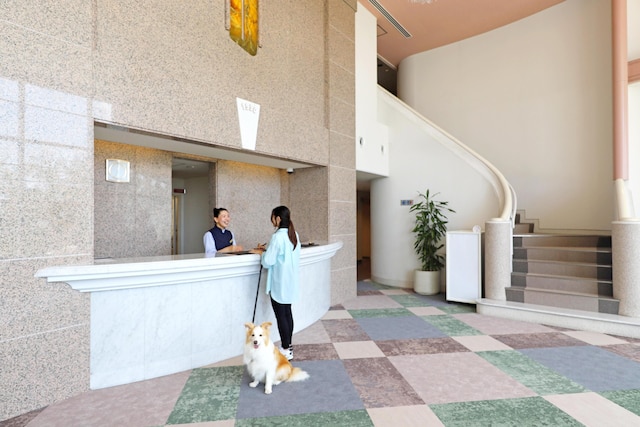 南紀白浜わんわんパラダイス