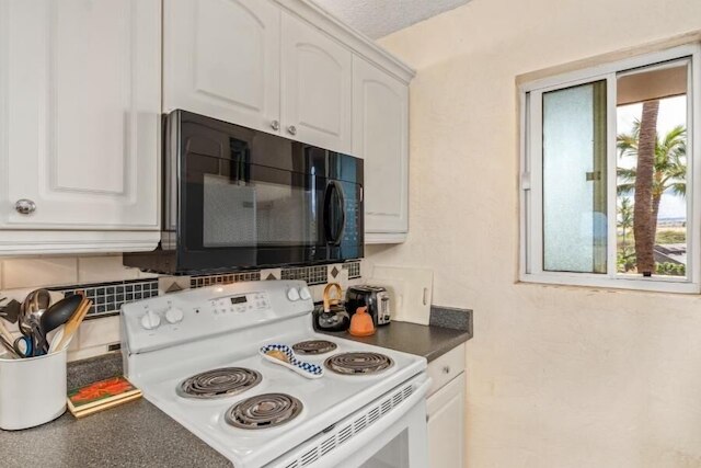 メネフネ ショアーズ、#517 1 ベッドルーム コンド バイ レッドオーニング