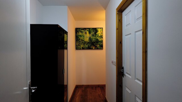 ザ ステイ ルクス