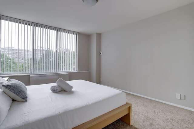 クリスタルシティの美しい アパートメント ウィズ ジム