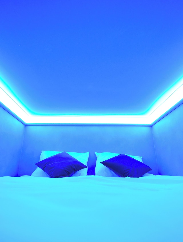 ザ ハイヴ カプセル ホステル アムステルダム