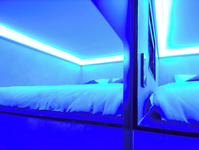 ザ ハイヴ カプセル ホステル アムステルダム