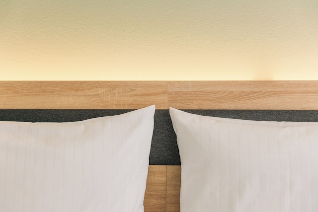 ホマリス コーナーホテル フランクフルト