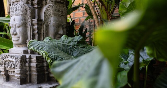 モリンガツリーメゾン