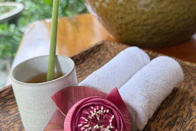 モリンガツリーメゾン