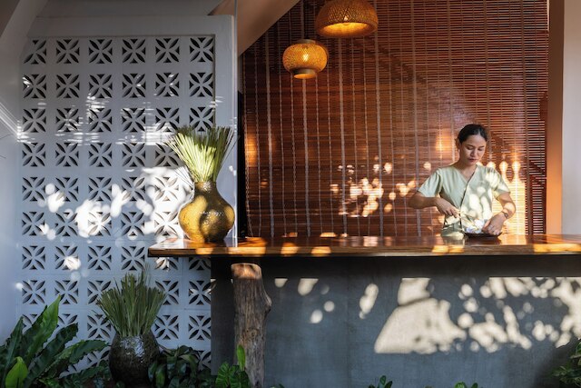 モリンガツリーメゾン