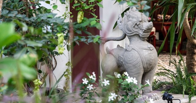 モリンガツリーメゾン