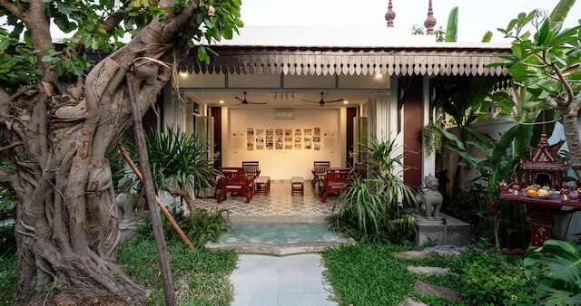 モリンガツリーメゾン