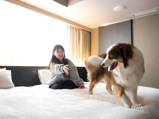 hotel anddoggy京都二条