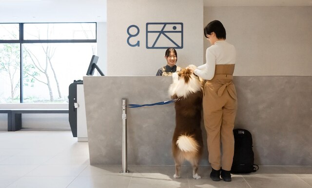 hotel anddoggy京都二条