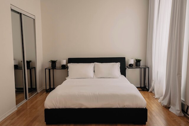 ルム ザ クイーン