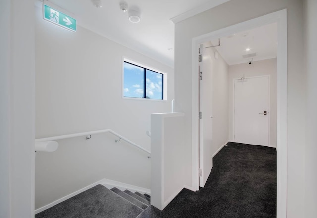 ACL スタジオ ユニット