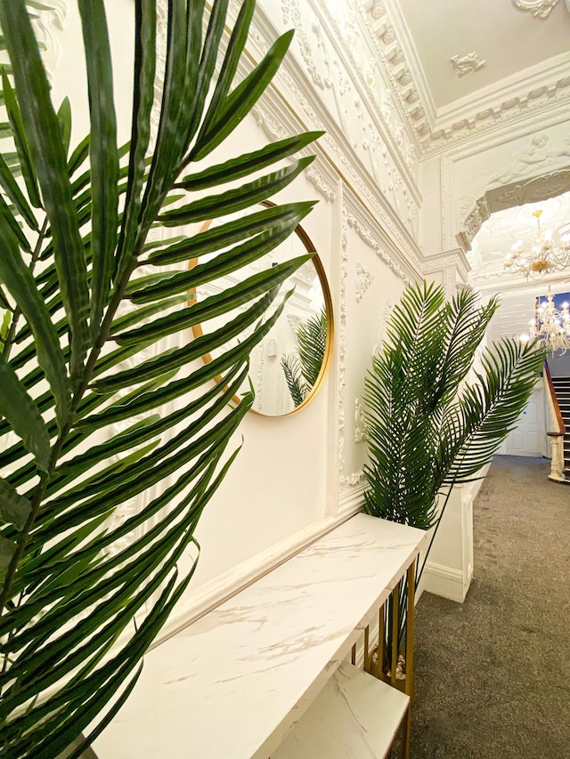 モダン スタジオ クローズ トゥ ハイド パーク