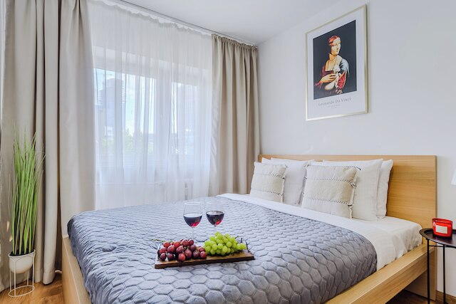 ルミナ アパート オン アレイェ ソリダルノシ