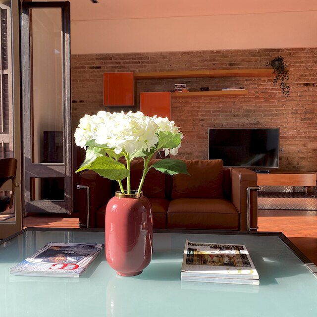 ルミナス デザイナー ロフト スタイル アパートエイシャンプル ビューズ バイ マイレンタルホスト