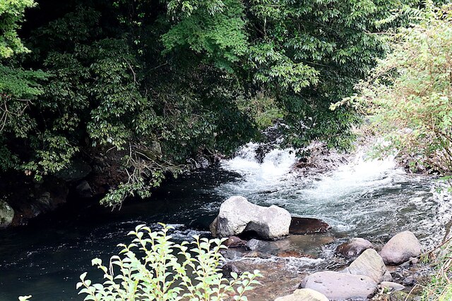 せせらぎのお宿 大朗舘