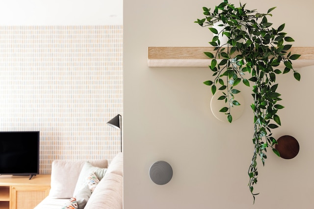 アレグレ3 · トレンディ & チャーミング アパートメント