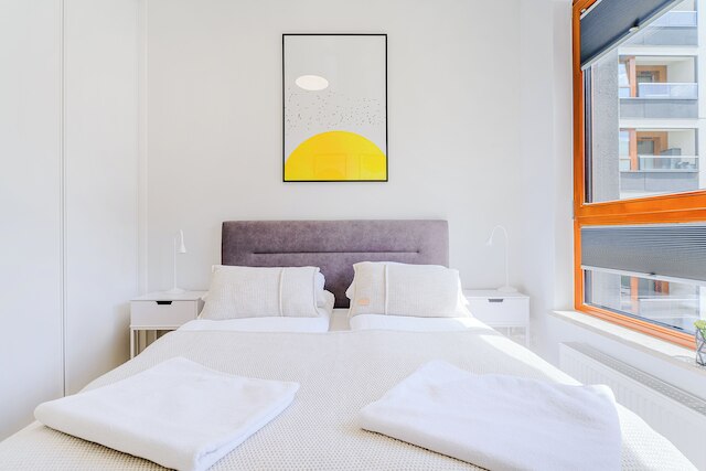 ショートステイポーランド ズディエホフスキー B153