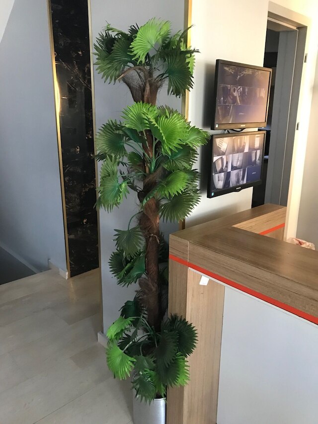 マイ ライフ オテル