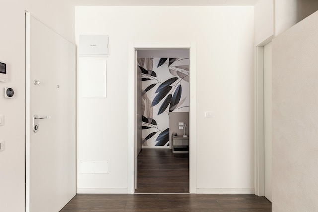 シトラス アパートメント