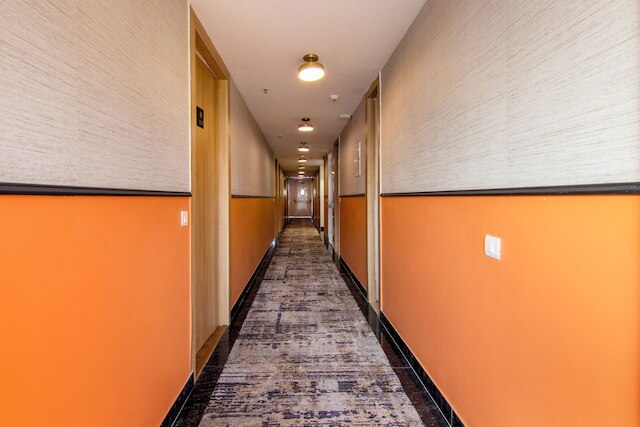 ザ オリオン エリート