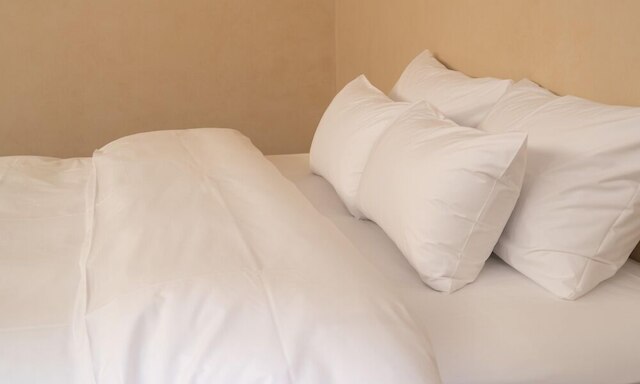 Jamsil Orosie Tourist Hotel