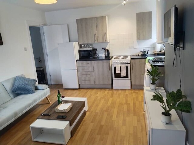 コージー アンド セントラル シティ アパートメント イン リバプール