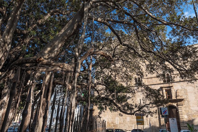 ルンガリーニ アパートメント バイ ワンダフル イタリー