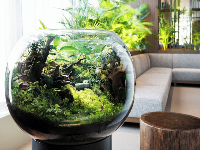 ホテル阪急グランレスパイア大阪