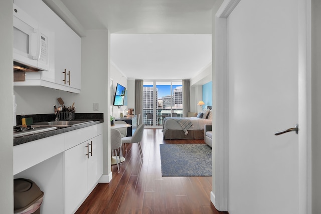 グラマラス ベイ ビュー スタジオ イン ザ グローブ