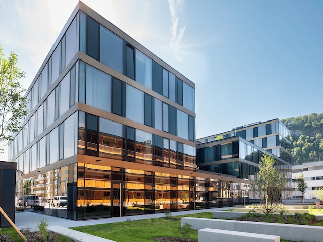 ヌマ ザルツブルク ヴォーゲルヴァイダー