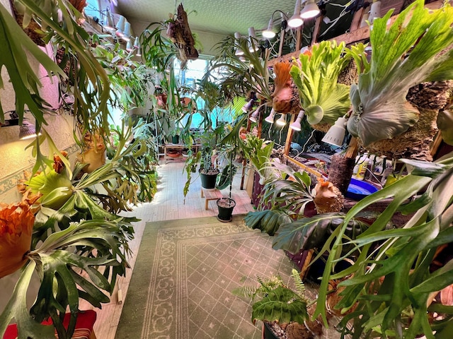 レンタルコテージ サントロペ