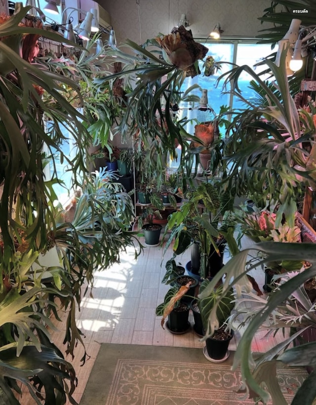 レンタルコテージ サントロペ