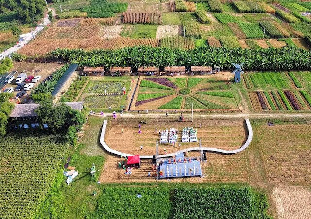 タンチェム ヴィレッジ