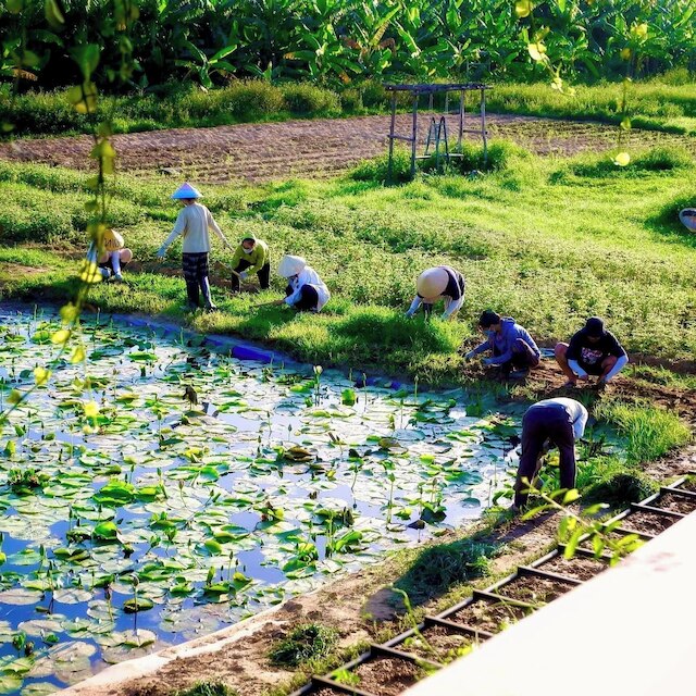 タンチェム ヴィレッジ