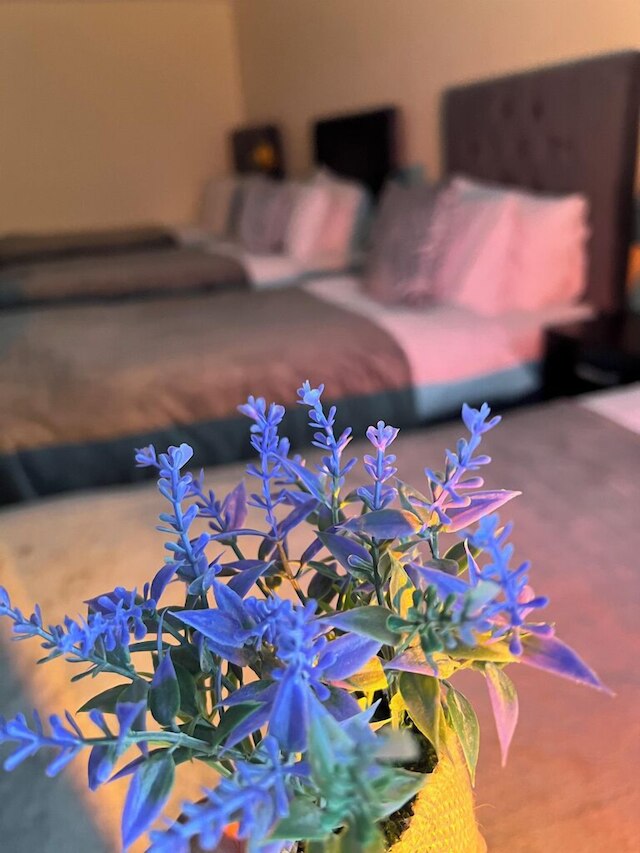 ラグジュアリー ホリデーアパートメンツ