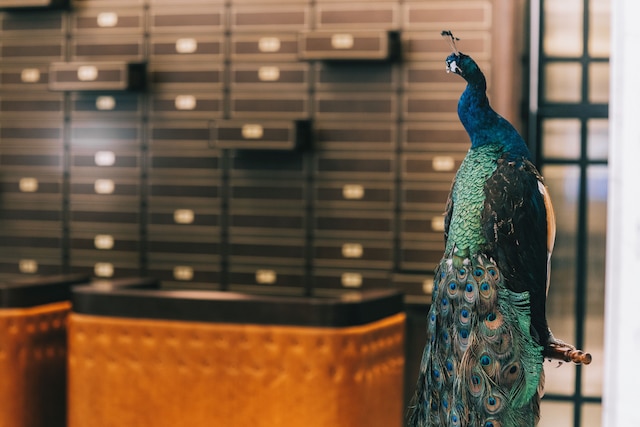 ヤンゴン エクセルシオール ホテル