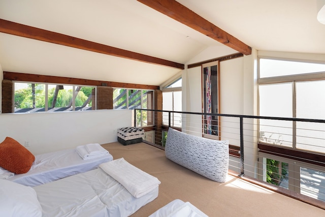 アルカディア 6BR パラダイス プール