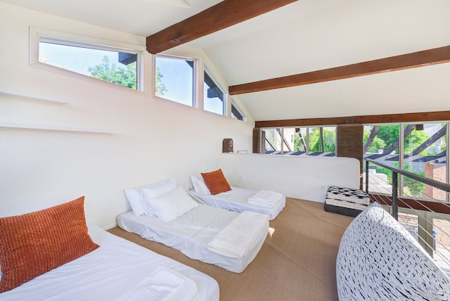 アルカディア 6BR パラダイス プール