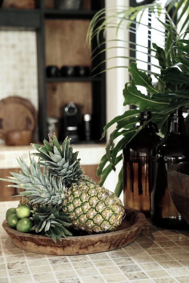 ヴィラ アルマズ