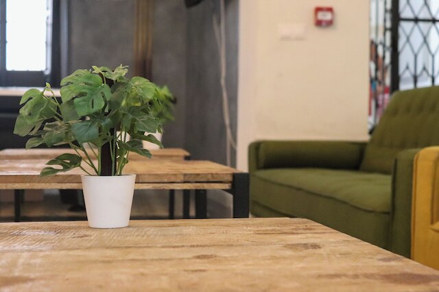 ホステル イバラ バイ ボッシュ